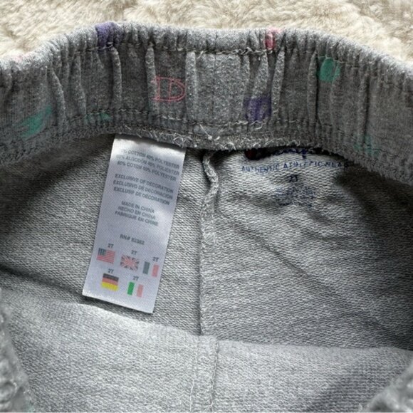 Champion | Gray & Pastel Allover Print French Terry Shorts | Size 2T - Picture 6 of 9